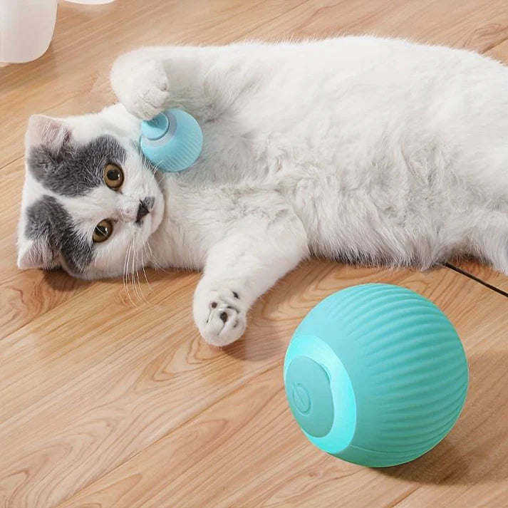 Anti-anxiety Active Gravitational Rolling Ball for Cats