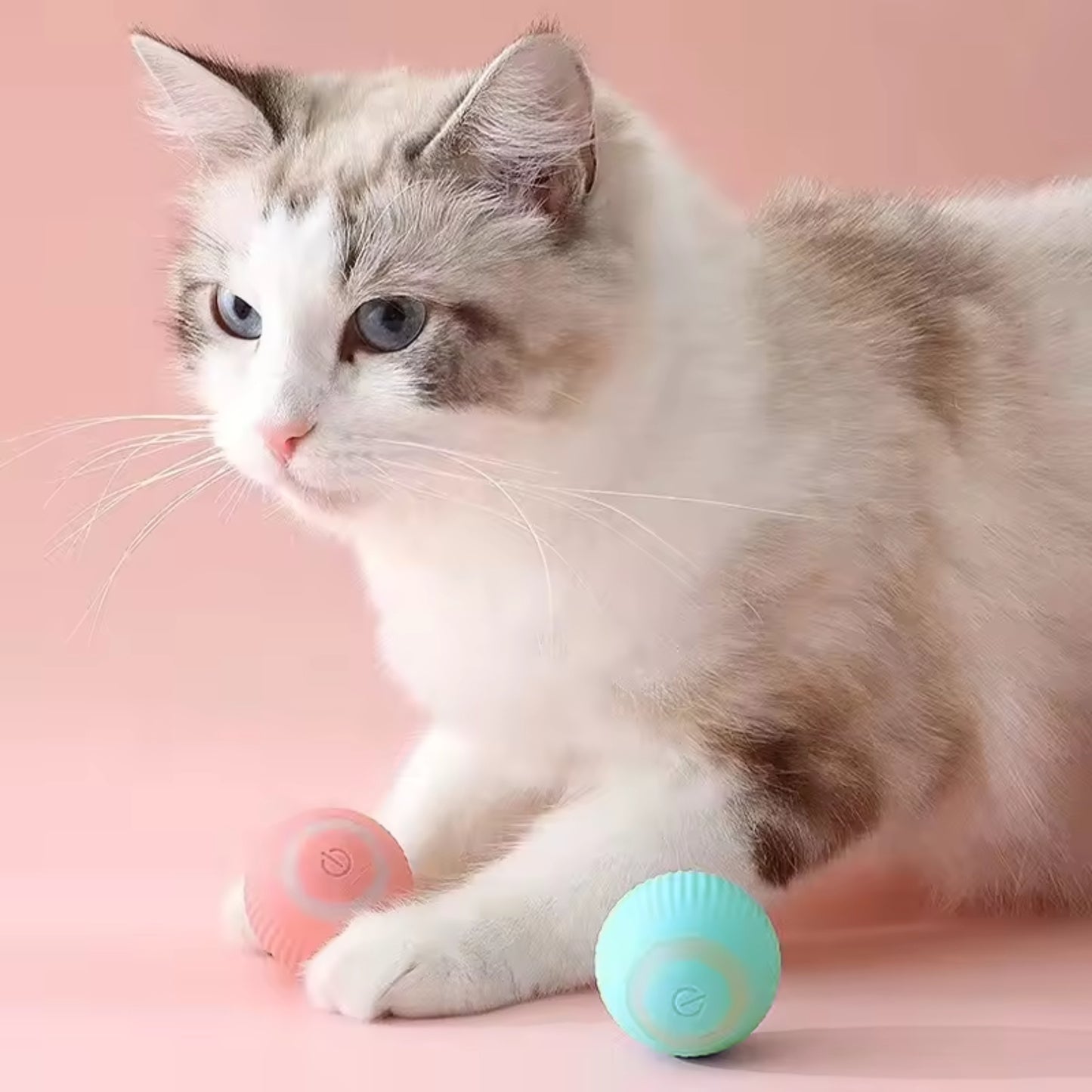 Anti-anxiety Active Gravitational Rolling Ball for Cats